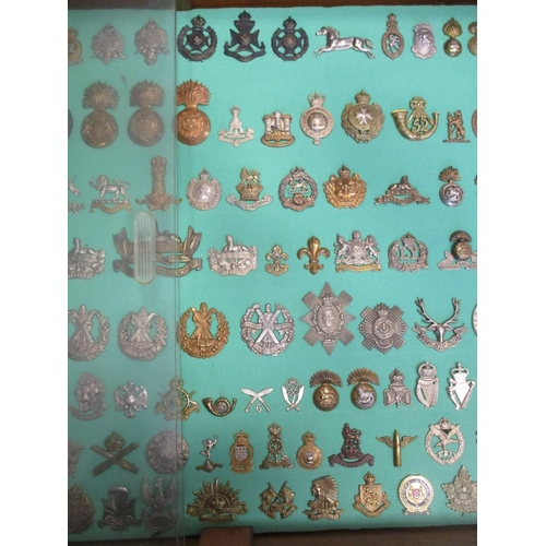 101 - Collection of cap badges with odd arm badge etc mounted on foam board in large wooden frame (91cm x ... 