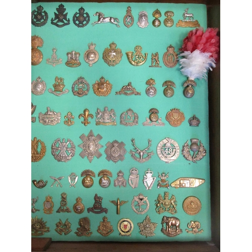 101 - Collection of cap badges with odd arm badge etc mounted on foam board in large wooden frame (91cm x ... 