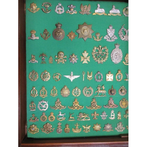 102 - Collection of cap badges with odd arm badge etc mounted on foam board in large wooden frame (91cm x ... 