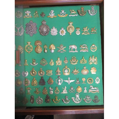 102 - Collection of cap badges with odd arm badge etc mounted on foam board in large wooden frame (91cm x ... 