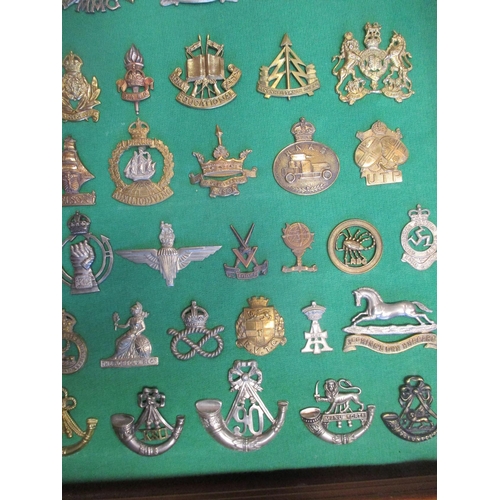 102 - Collection of cap badges with odd arm badge etc mounted on foam board in large wooden frame (91cm x ... 