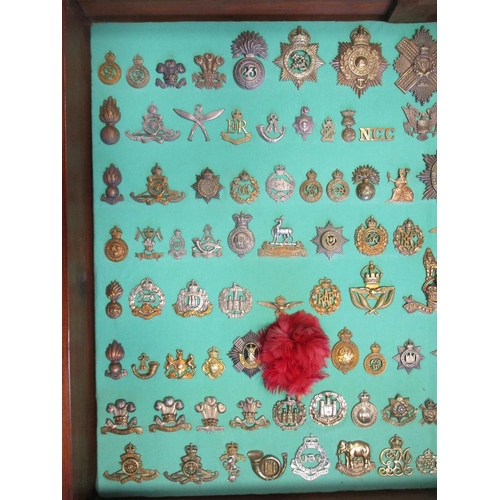 103 - Collection of cap badges with odd arm badge etc mounted on foam board in large wooden frame (91cm x ... 