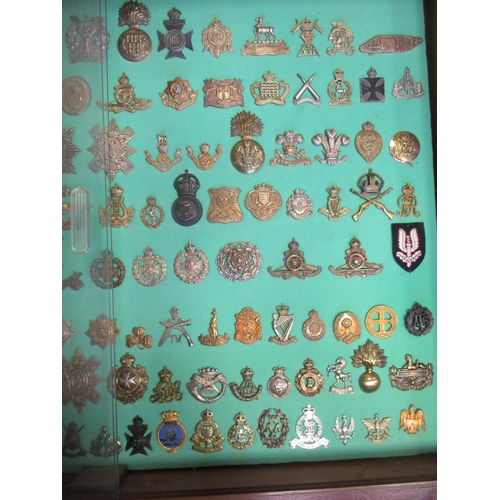 103 - Collection of cap badges with odd arm badge etc mounted on foam board in large wooden frame (91cm x ... 