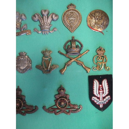 103 - Collection of cap badges with odd arm badge etc mounted on foam board in large wooden frame (91cm x ... 