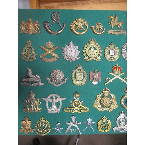 104 - Collection mounted on 2 boards of mostly cap badges, also few arm badges etc including QV Connaught ... 