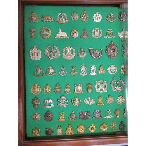 105 - Collection of cap badges with odd arm badge etc mounted on foam board in large wooden frame (91cm x ... 