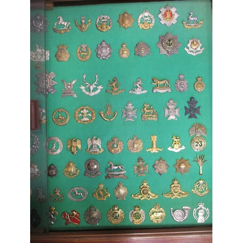 105 - Collection of cap badges with odd arm badge etc mounted on foam board in large wooden frame (91cm x ... 