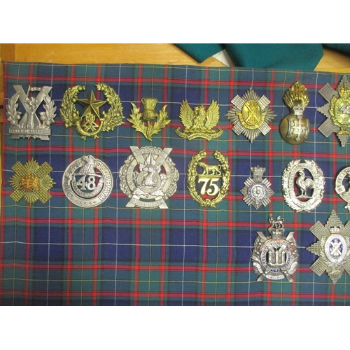 106 - Collection mounted on 3 boards of mostly cap badges, also few arm badges etc including QV 24th Foot,... 