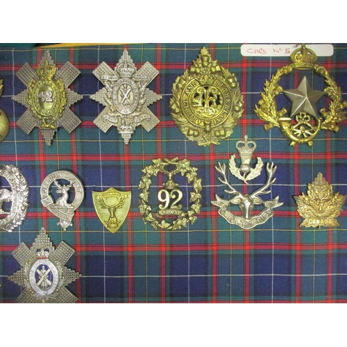 106 - Collection mounted on 3 boards of mostly cap badges, also few arm badges etc including QV 24th Foot,... 