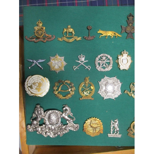 106 - Collection mounted on 3 boards of mostly cap badges, also few arm badges etc including QV 24th Foot,... 