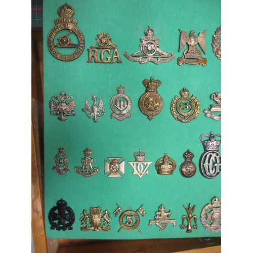 106 - Collection mounted on 3 boards of mostly cap badges, also few arm badges etc including QV 24th Foot,... 