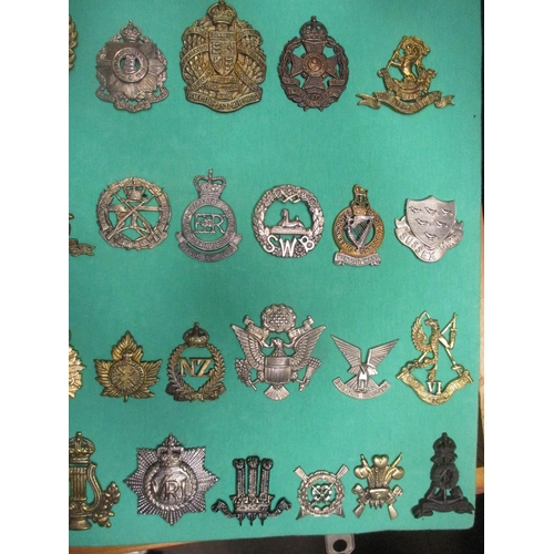 106 - Collection mounted on 3 boards of mostly cap badges, also few arm badges etc including QV 24th Foot,... 