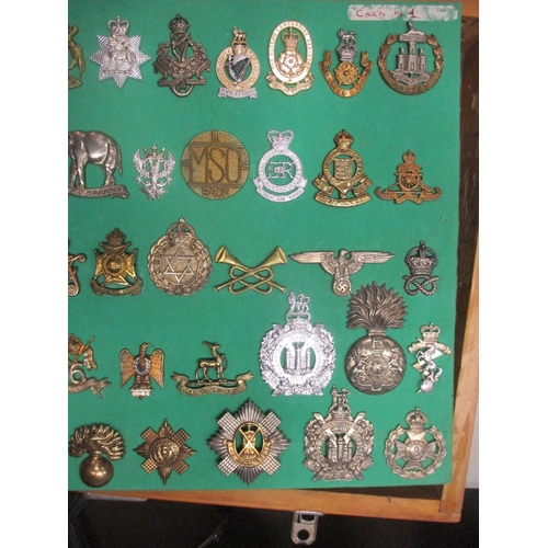 110 - Collection mounted on board of mostly cap badges including QV Engineer Volunteers, KRRC, KC 8th Bn L... 