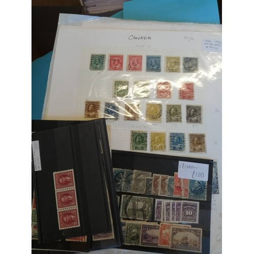 31 - BC QV-QEII mixed condition M/U accumulation, sorted by country on stockcards and leaves in folders. ... 