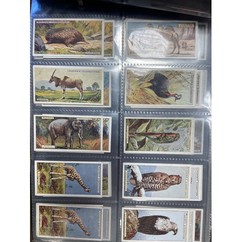 28 - Collection in 24 albums with part sets including Players Natural History (45), Poultry (17), Product... 