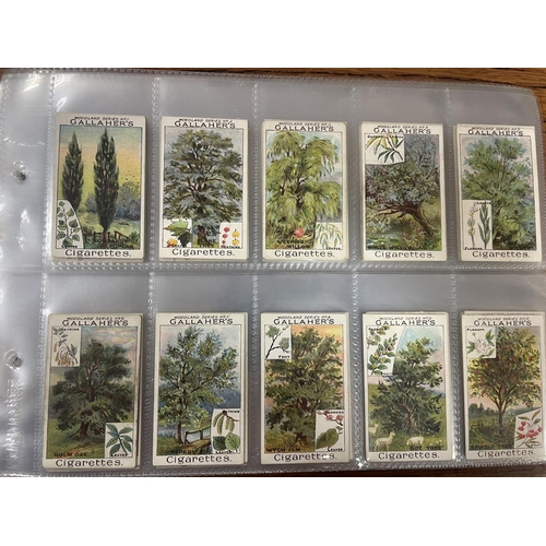 55 - Collection with Churchman 1905 Interesting Buildings and Gallaher 1912 Woodland Trees complete sets ... 