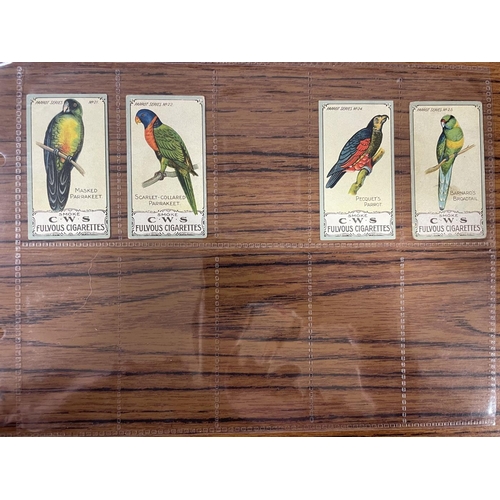 91 - Co-Operative Wholesale Society. 1910 Parrot Series part set in plastic sleeves generally fair to goo... 