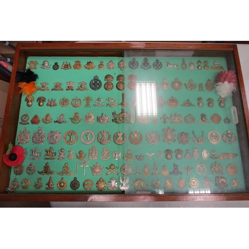 114 - Collection of cap badges with odd arm badge etc mounted on foam board in large wooden frame (91cm x ... 