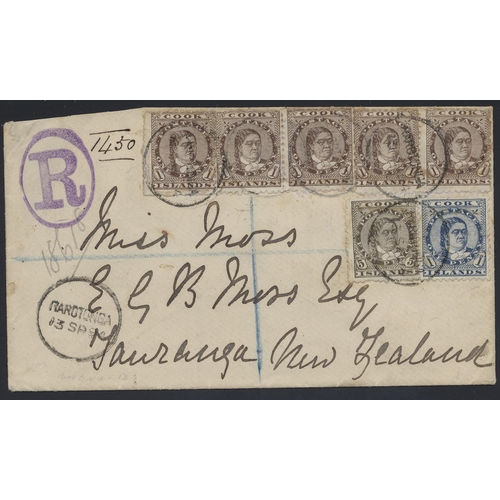 211 - Cook Is. 1894 reg cover from the British Resident at Rarotonga to his family in NZ, brg 1893 Makea P... 