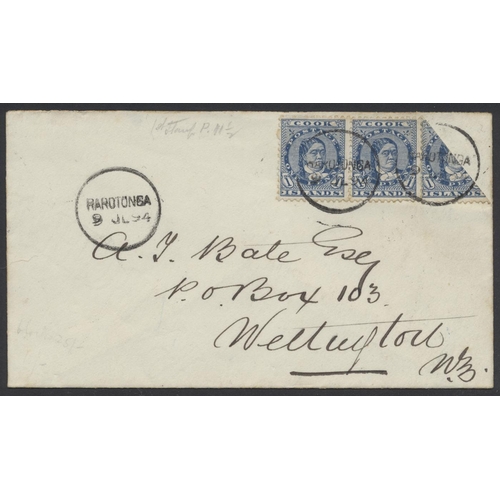 213 - Cook Is. 1894 (July 9th) cover from Rarotonga to Wellington, franked by 1894 Makea 1d blue horiz pir... 