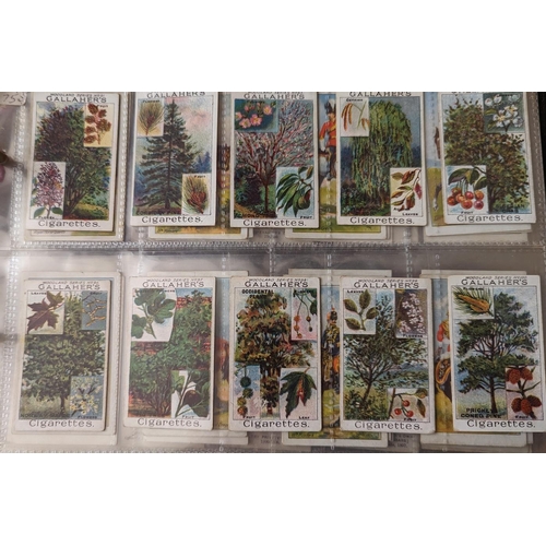 2 - Collection of part and complete sets, generally very good condition, with Gallaher 1912 Woodland Tre... 