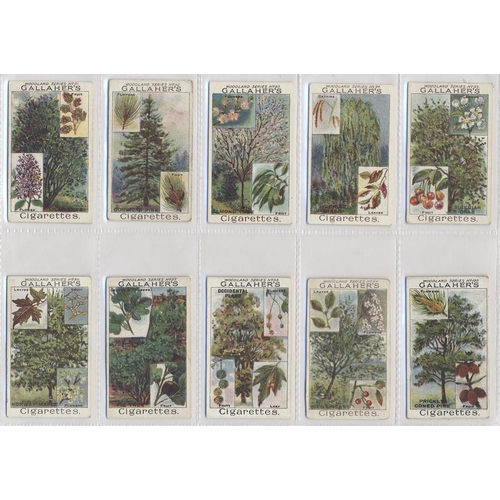 32A - Gallaher. 1912 Woodland trees series complete set, generally very good to excellent condition in pla... 