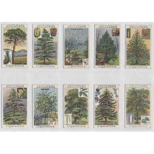 32A - Gallaher. 1912 Woodland trees series complete set, generally very good to excellent condition in pla... 