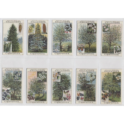 32A - Gallaher. 1912 Woodland trees series complete set, generally very good to excellent condition in pla... 