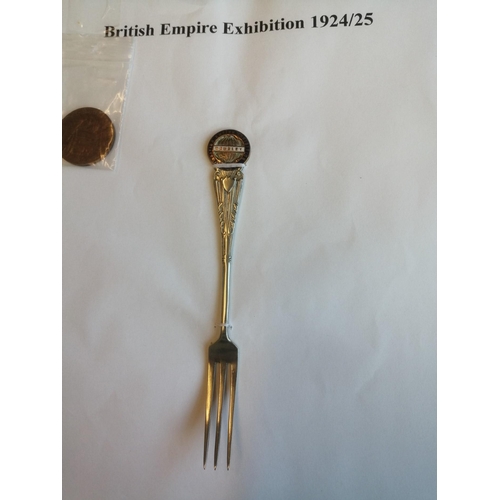 366 - 1924-5 British Empire Exhibition. An exhibition-quality coln requiring inspection, in six binders st... 