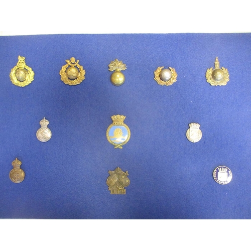 114 - Royal Navy, Marines and RAF mainly badge collection mounted on 6 boards including silk postcard, RNA... 