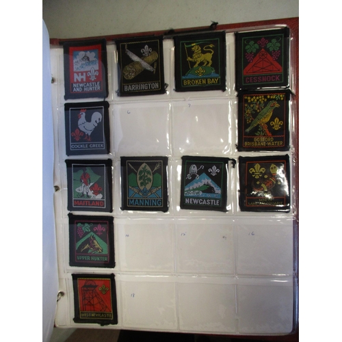 145 - Scout collection of cloth badges in 4 albums with wide range of counties, towns, cities etc, mainly ... 