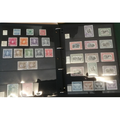 163 - Central America. Early to middle-period miscellaneous M/U coln in binder, incl Panama, El Salvador M... 