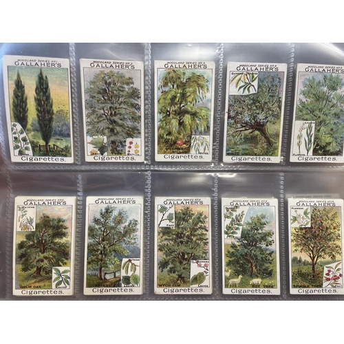 58 - Gallaher. 1912 Woodland Trees Series complete set in plastic sleeves generally fair to good. Cat. £5... 