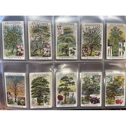 58 - Gallaher. 1912 Woodland Trees Series complete set in plastic sleeves generally fair to good. Cat. £5... 