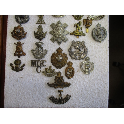 136 - Collection of mainly cap badges and shoulder titles mounted on polystyrene within 2 glass frames, sh... 