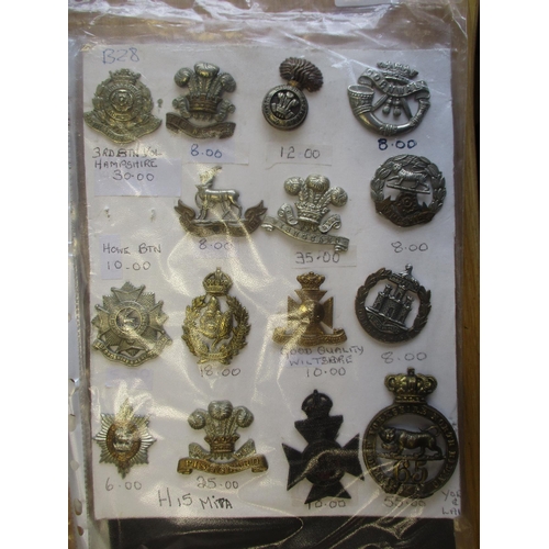 141 - Collection of mainly metal cap and glengarry badges mounted on 5 cards, wide range of regiments incl... 