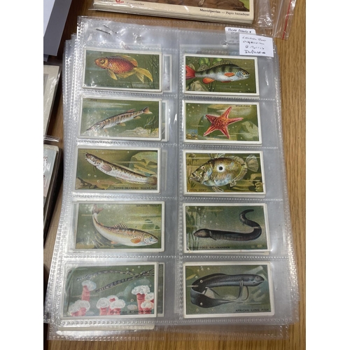 23 - Collection of cigarette cards in plastic sleeves with ranges from Carreras, Dukes, Gallaher, Imperia... 