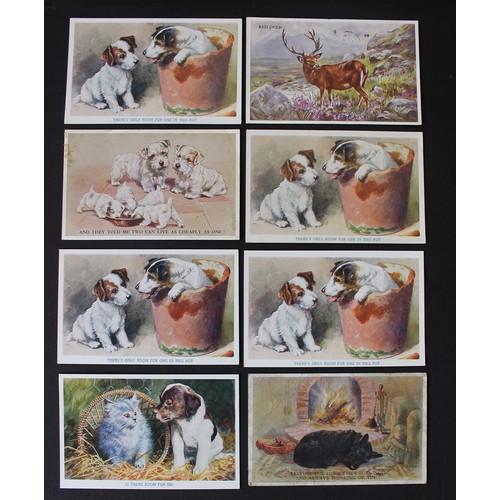 55 - Animals. Artist drawn. M. Gear, Minnie Keene set Faulkner pub. dogs no 1318, A.E. Kennedy Faulkner p... 