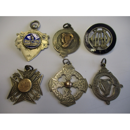 900 - Collection of 18 silver medallions, some are Irish silver, some enamelled, includes RAPC sweetheart ... 