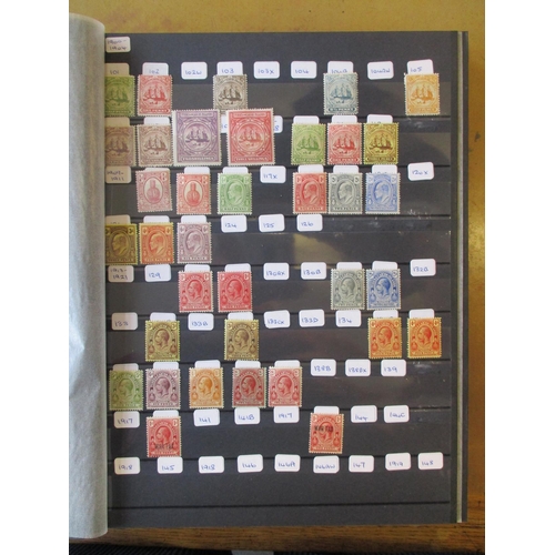 19 - BC Caribbean early to modern M/UM coln in approx 30 stock books, incl 1882 Barbados 2½d M, 1883-04 B... 