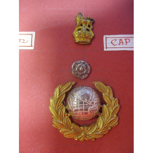 223 - Royal Marines Chatham Division Band Badge collection wire mounted to card with 1905-50 helmet plates... 