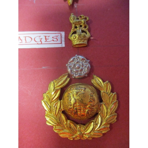 223 - Royal Marines Chatham Division Band Badge collection wire mounted to card with 1905-50 helmet plates... 