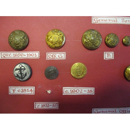 230 - 1800s to date Royal Marines button collection wire mounted on board for display including General's ... 