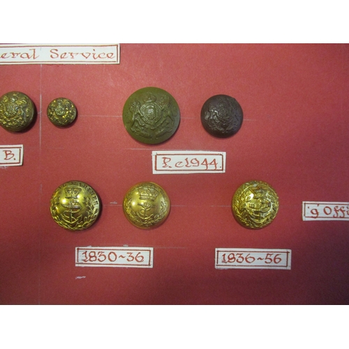 230 - 1800s to date Royal Marines button collection wire mounted on board for display including General's ... 