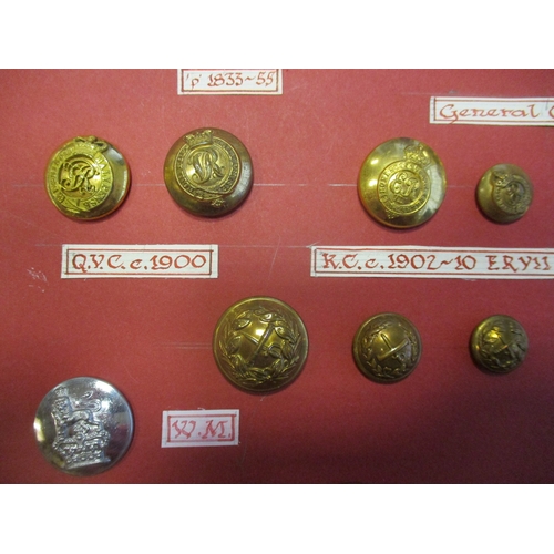 230 - 1800s to date Royal Marines button collection wire mounted on board for display including General's ... 