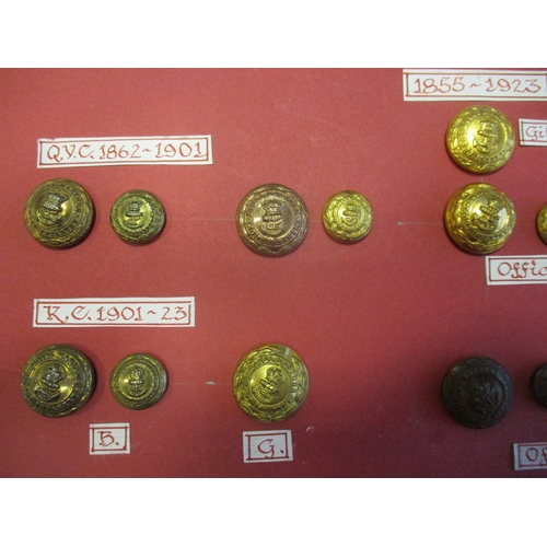 234 - 1804 to date Royal Marines button collection wire mounted on board for display including R.M.A. Comp... 