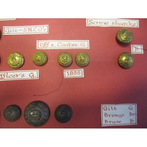 234 - 1804 to date Royal Marines button collection wire mounted on board for display including R.M.A. Comp... 