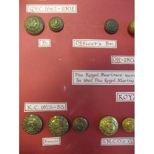 234 - 1804 to date Royal Marines button collection wire mounted on board for display including R.M.A. Comp... 