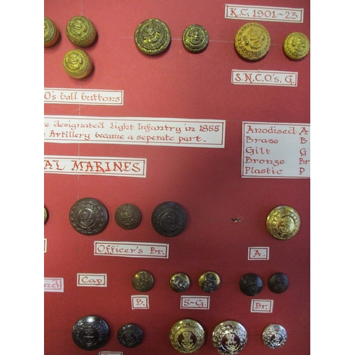 234 - 1804 to date Royal Marines button collection wire mounted on board for display including R.M.A. Comp... 