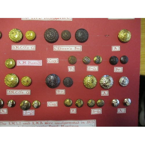 234 - 1804 to date Royal Marines button collection wire mounted on board for display including R.M.A. Comp... 